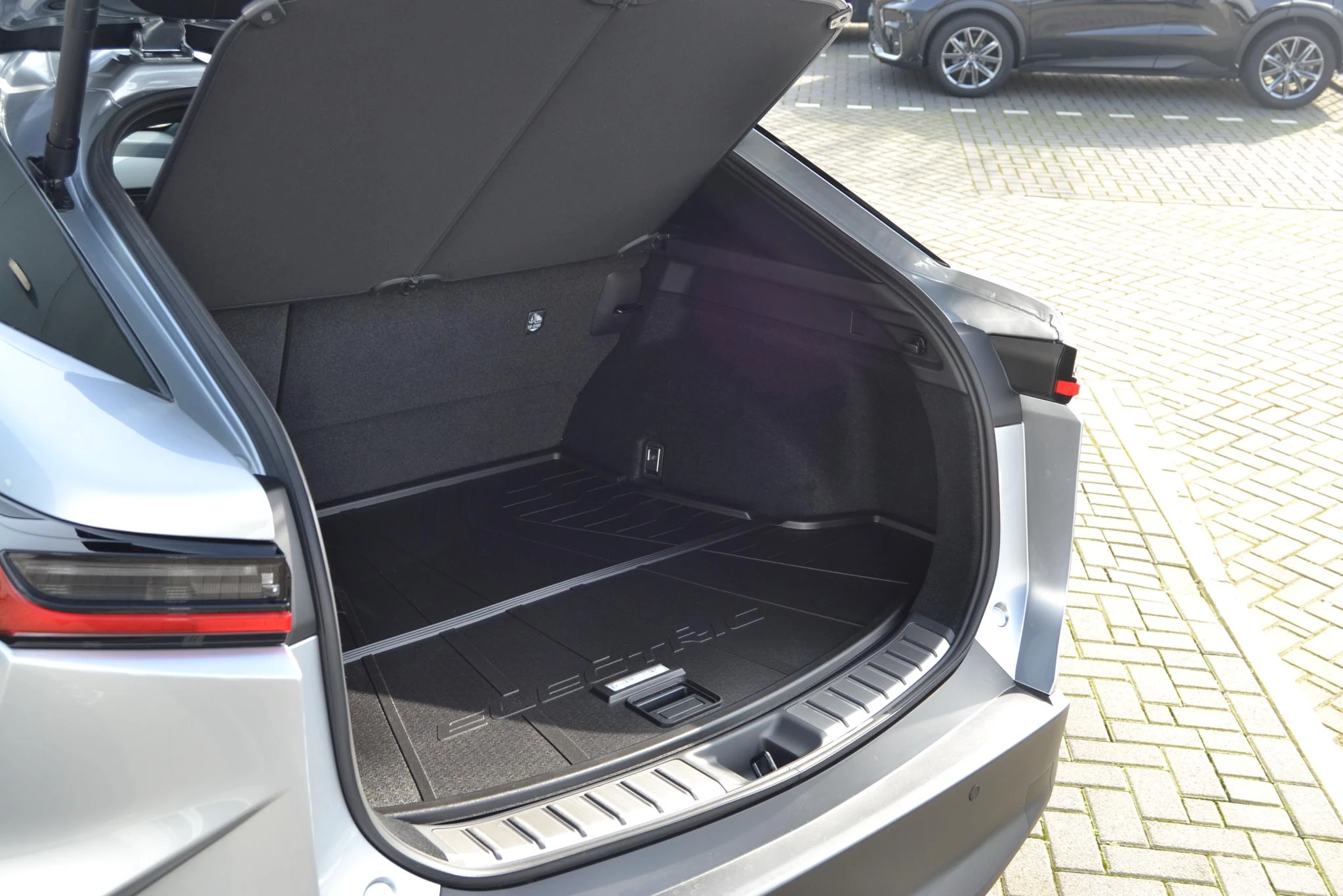 Hoofdafbeelding Lexus RZ