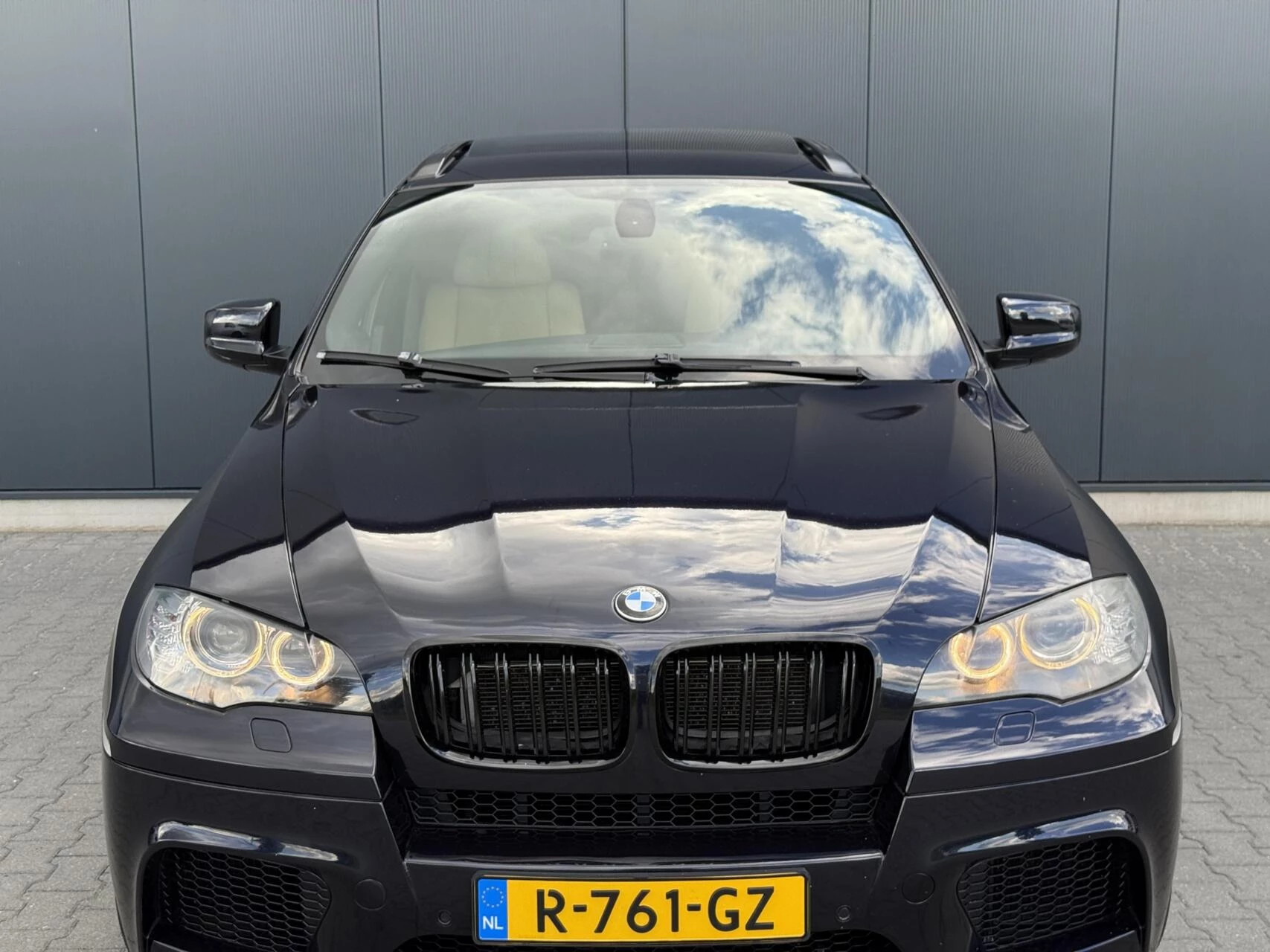 Hoofdafbeelding BMW X6