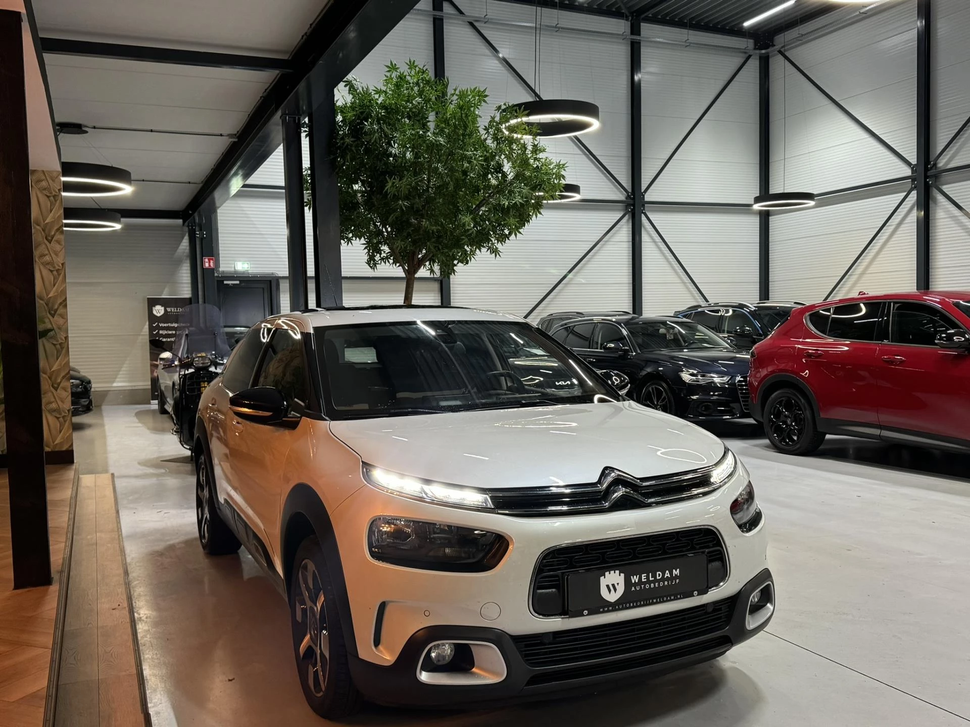 Hoofdafbeelding Citroën C4 Cactus