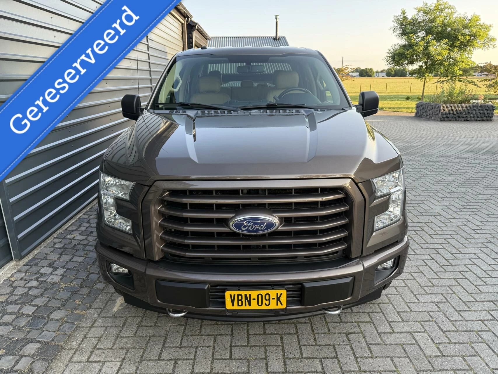 Hoofdafbeelding Ford F-150