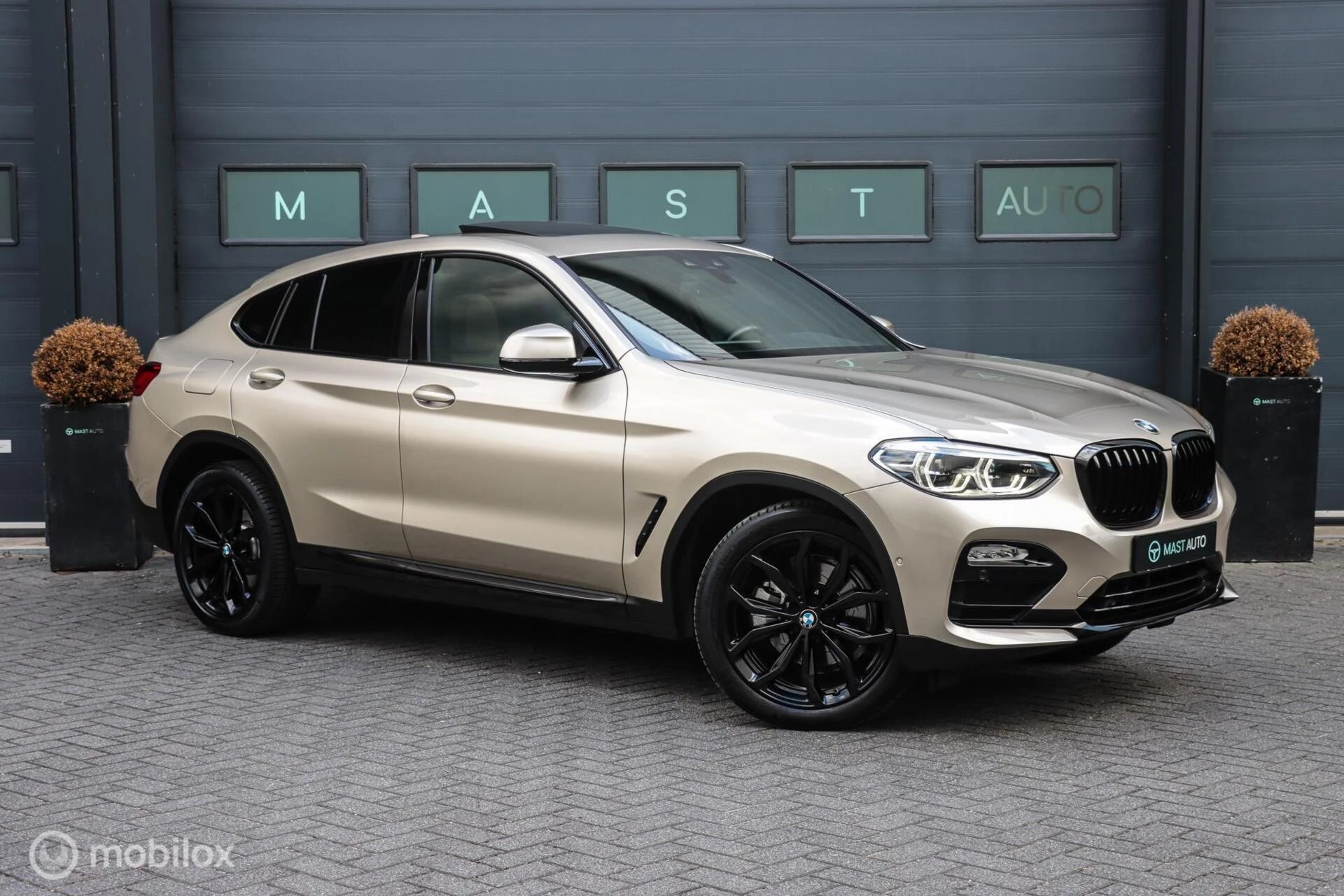 Hoofdafbeelding BMW X4
