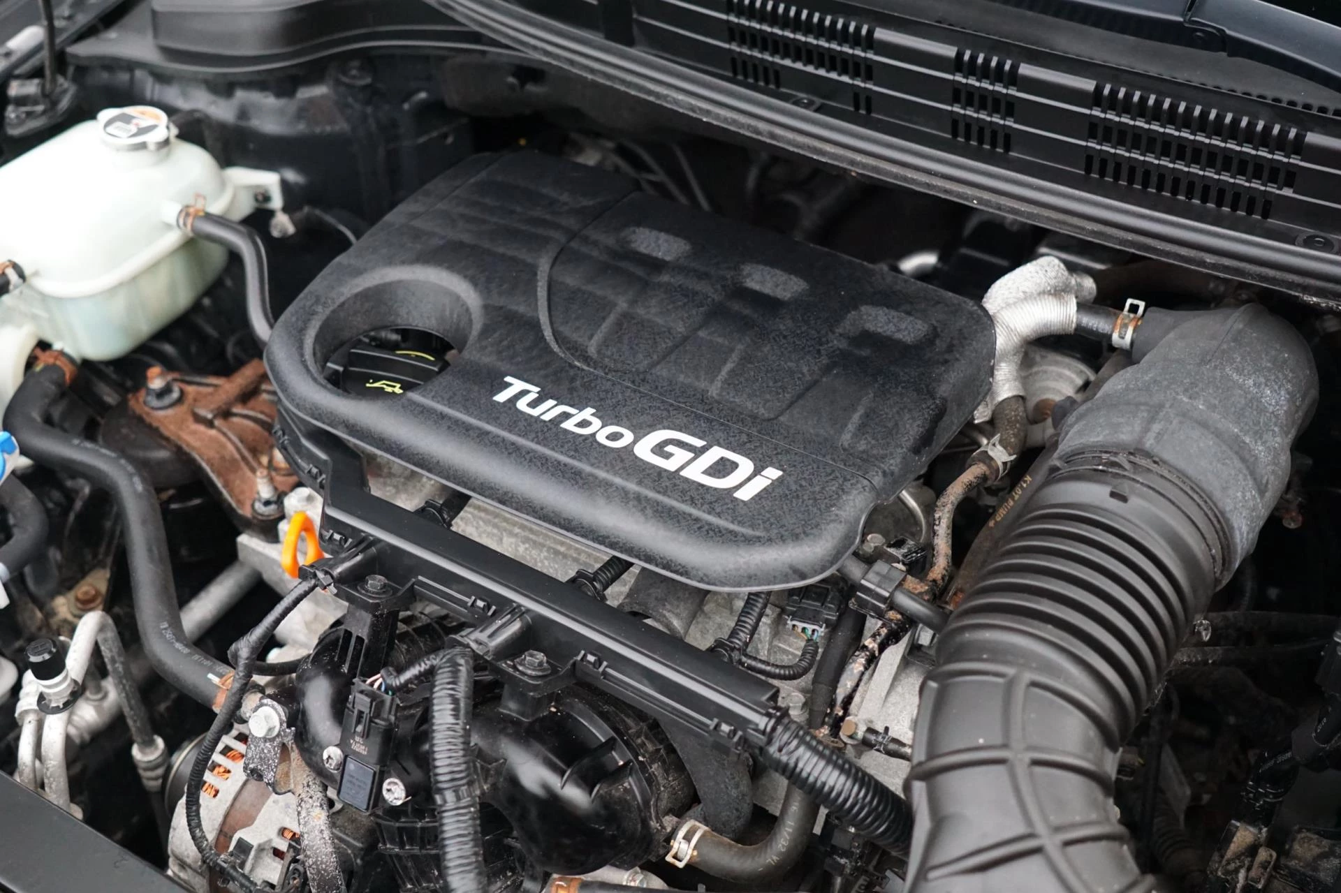 Hoofdafbeelding Kia Rio