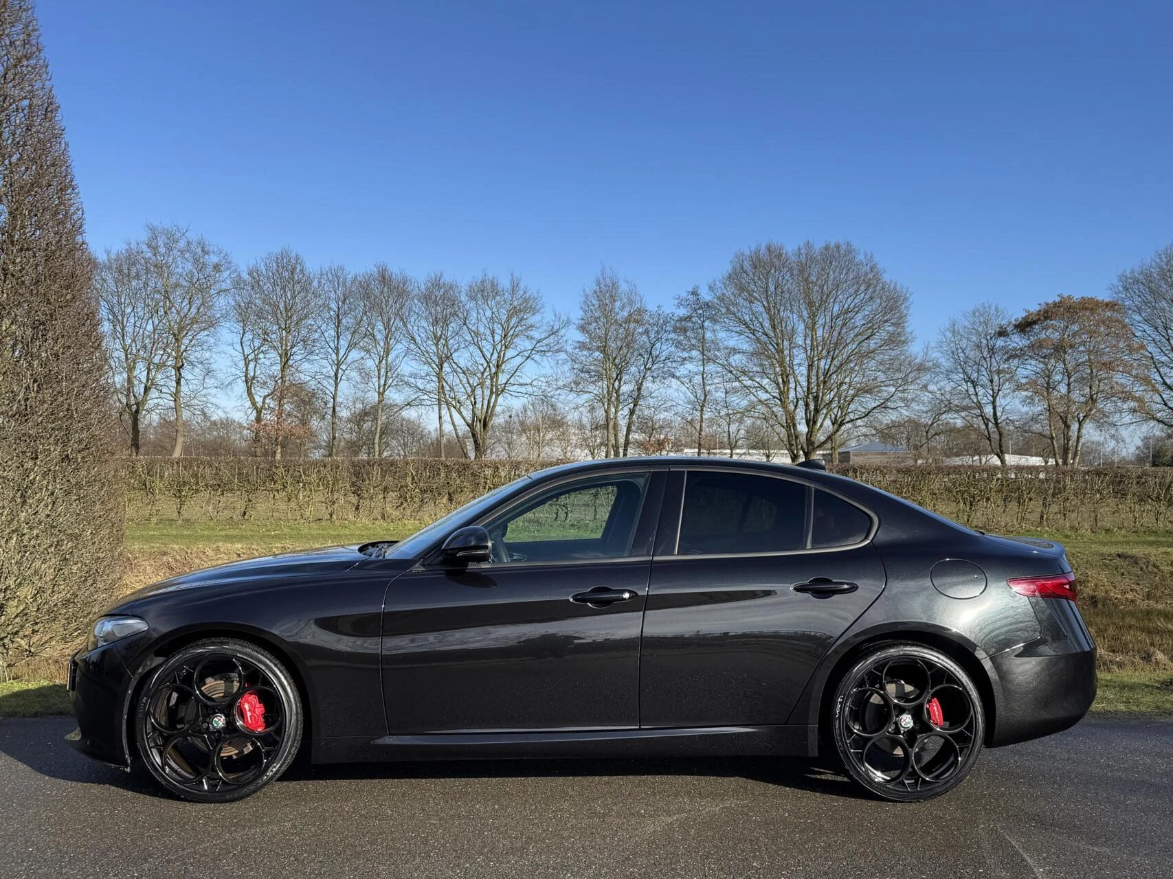 Hoofdafbeelding Alfa Romeo Giulia