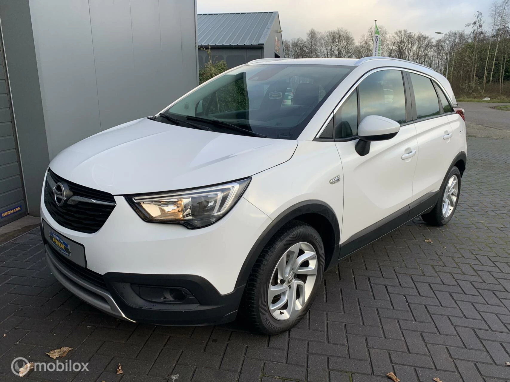 Hoofdafbeelding Opel Crossland X