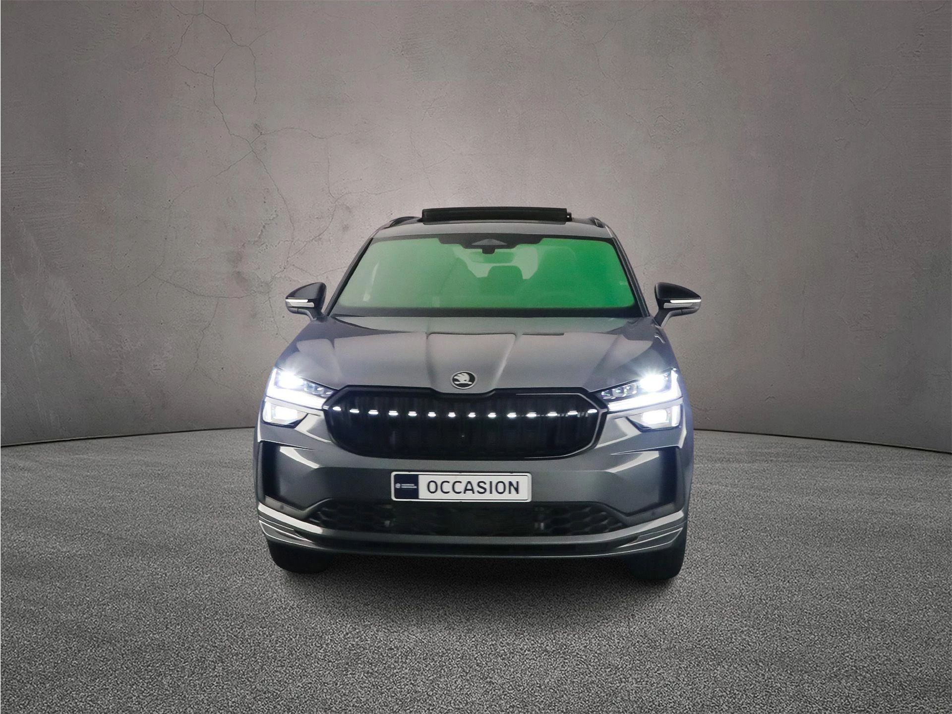 Hoofdafbeelding Škoda Kodiaq