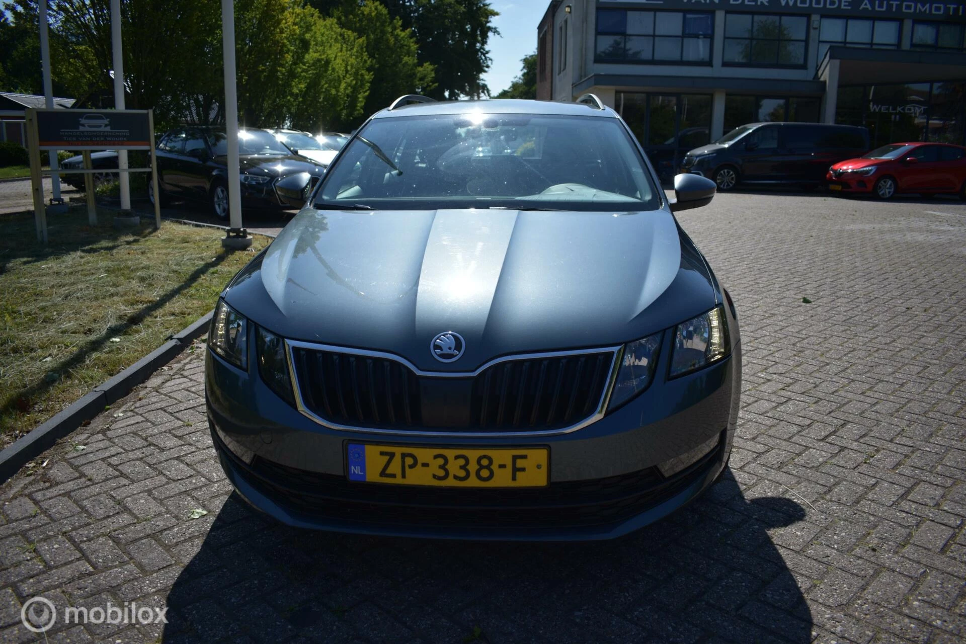 Hoofdafbeelding Škoda Octavia
