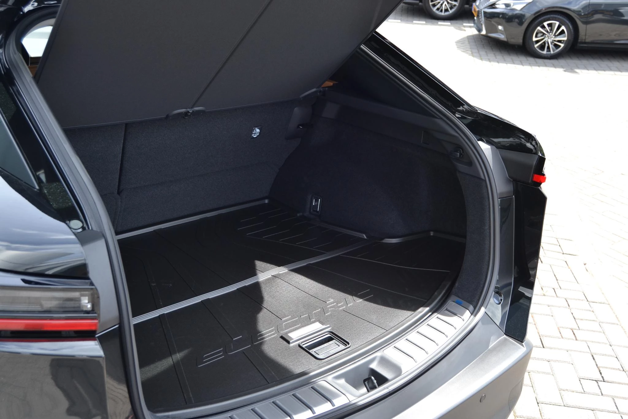 Hoofdafbeelding Lexus RZ