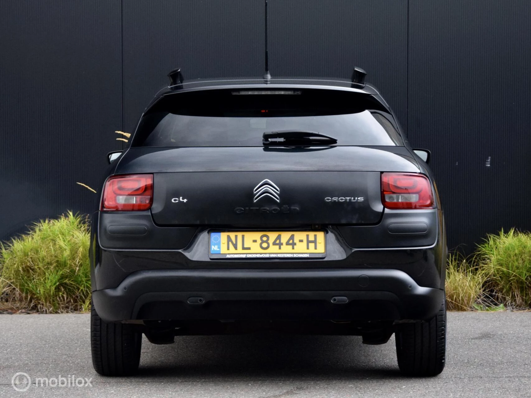 Hoofdafbeelding Citroën C4 Cactus