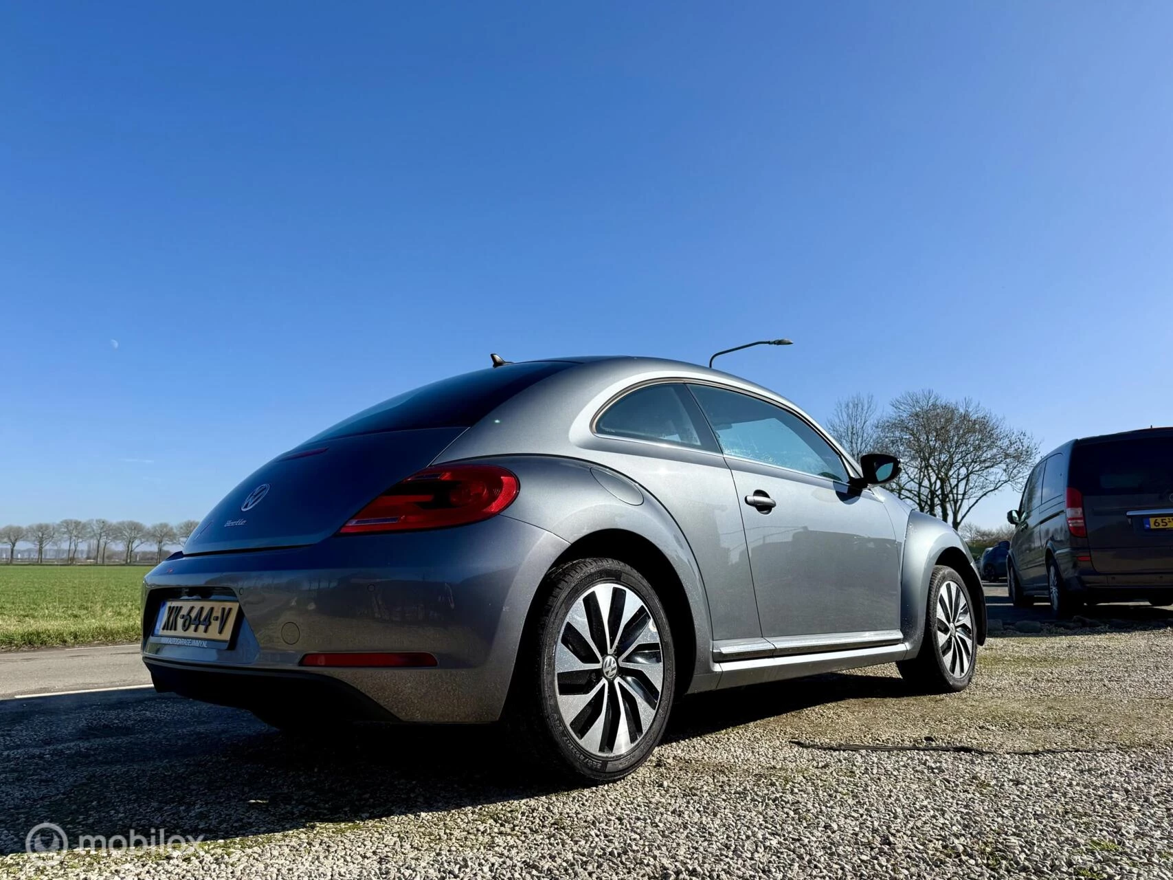 Hoofdafbeelding Volkswagen Beetle