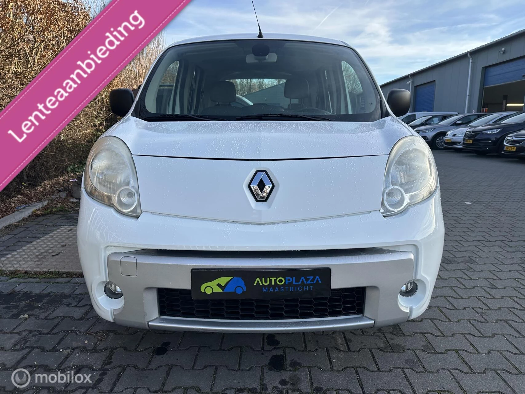 Hoofdafbeelding Renault Kangoo