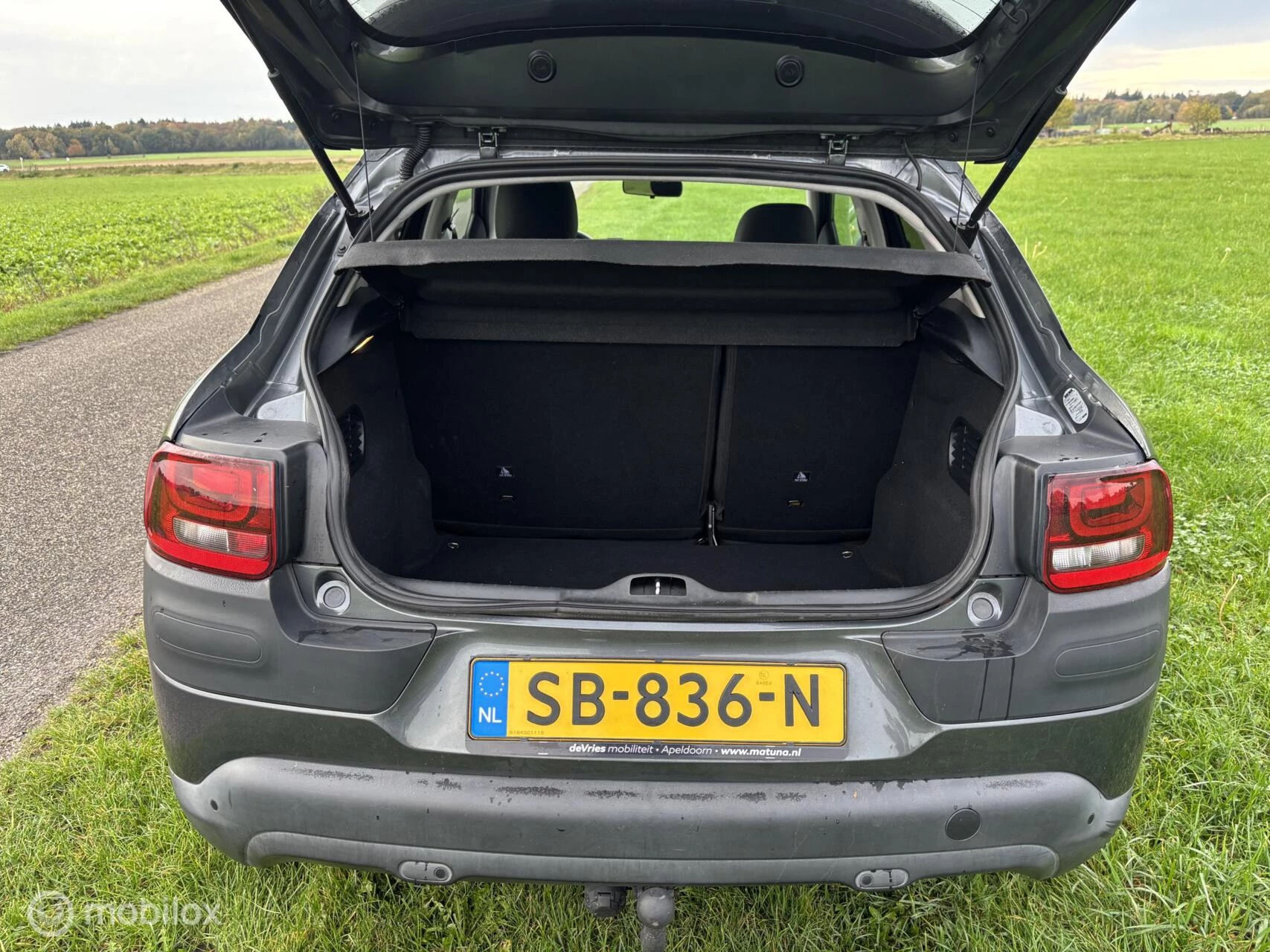 Hoofdafbeelding Citroën C4 Cactus