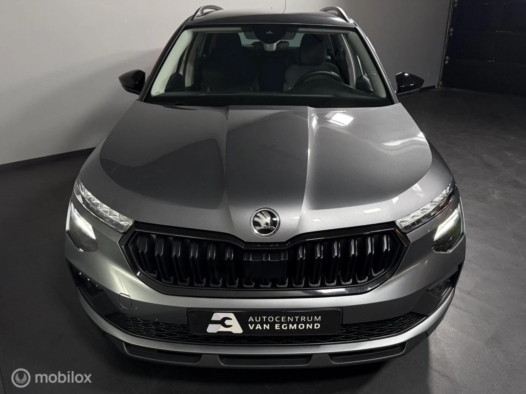 Hoofdafbeelding Škoda Kamiq