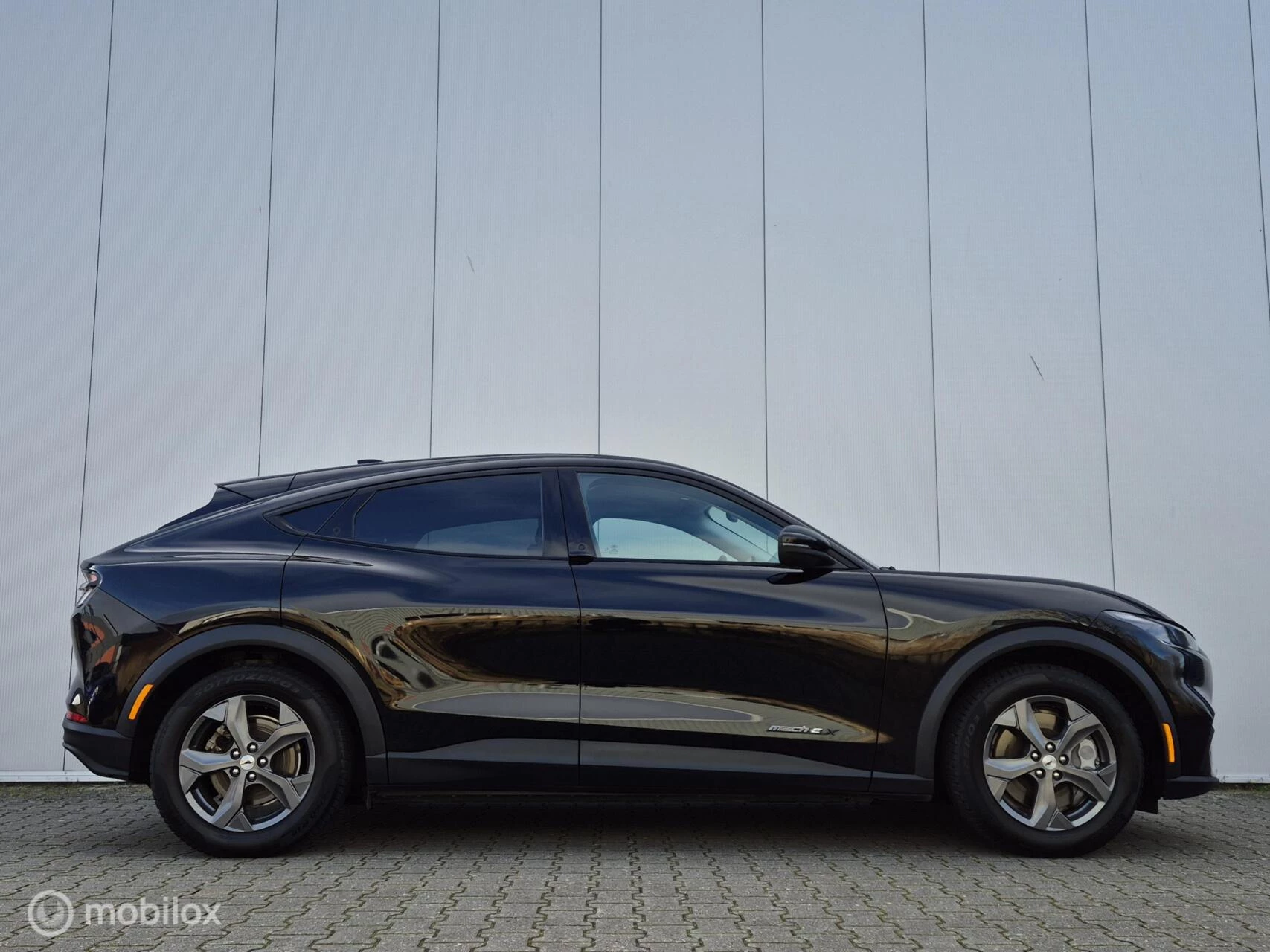 Hoofdafbeelding Ford Mustang Mach-E