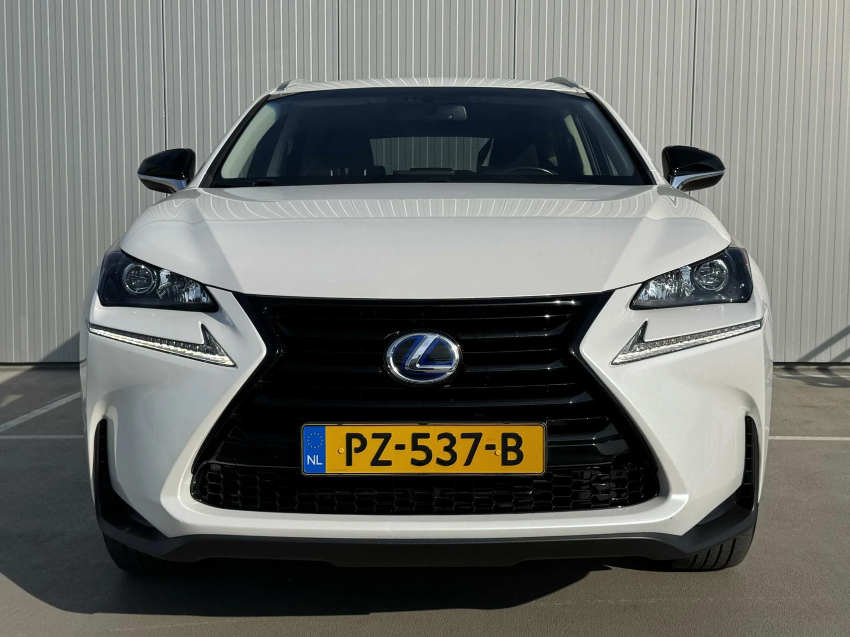 Hoofdafbeelding Lexus NX