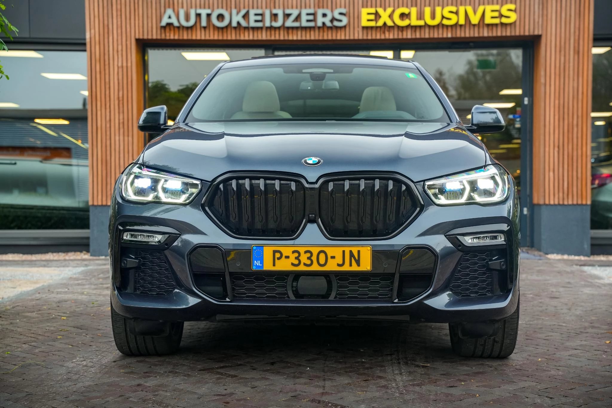 Hoofdafbeelding BMW X6