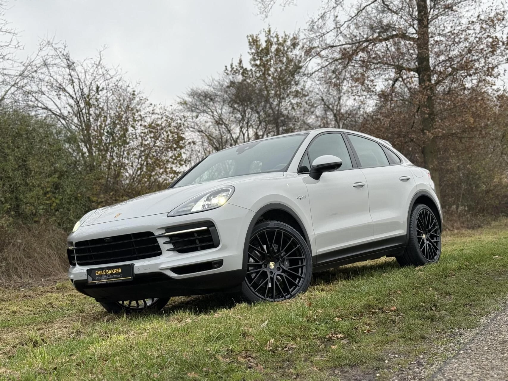 Hoofdafbeelding Porsche Cayenne
