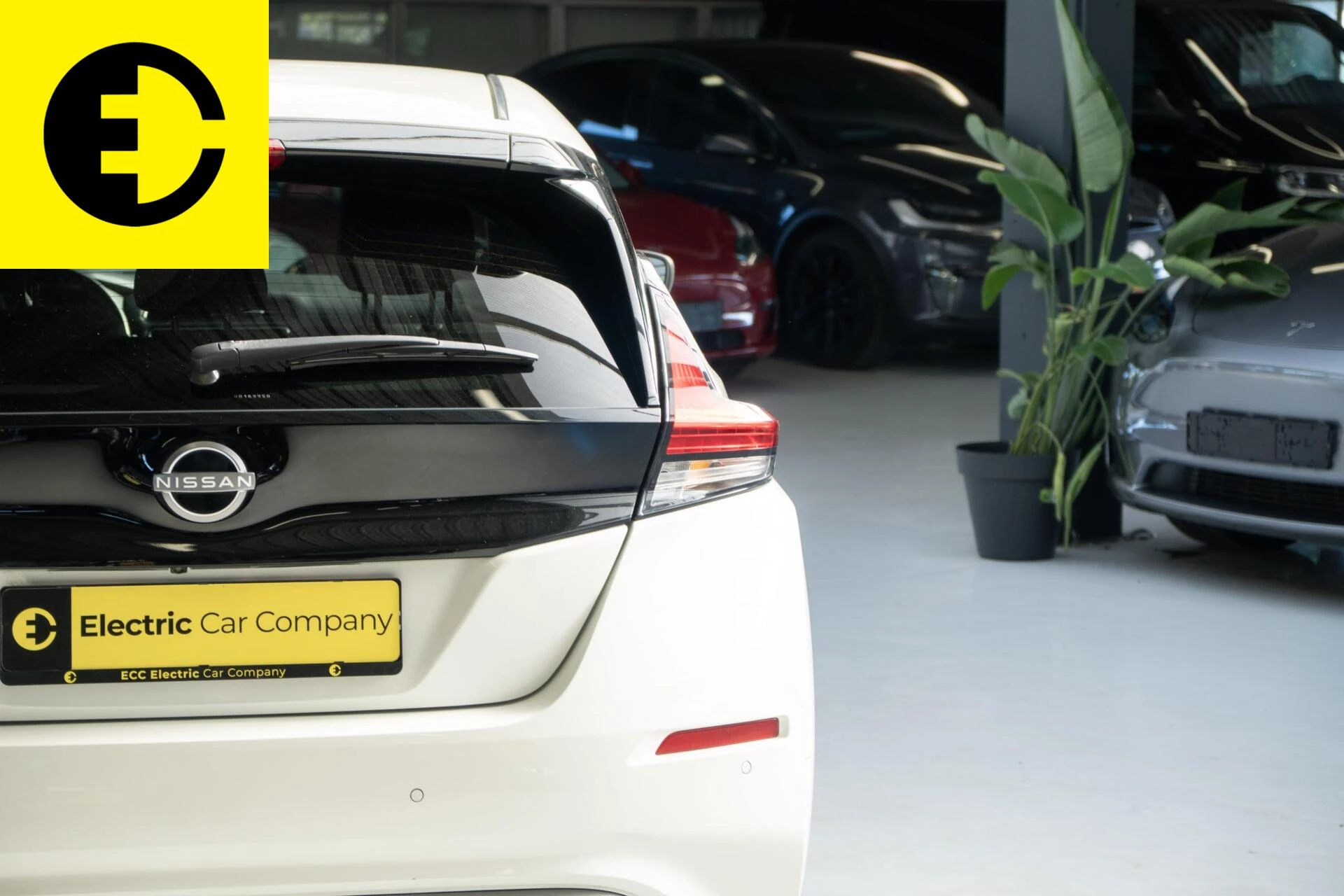 Hoofdafbeelding Nissan Leaf