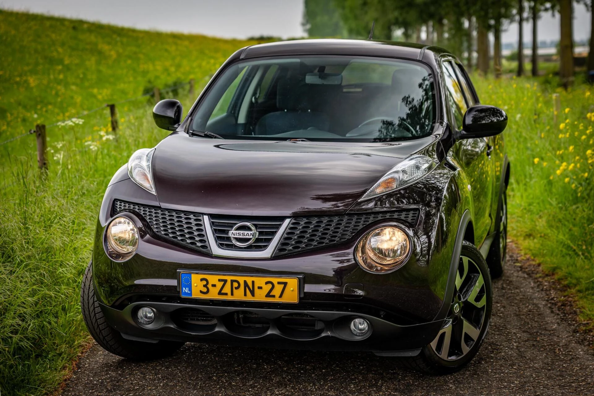 Hoofdafbeelding Nissan Juke
