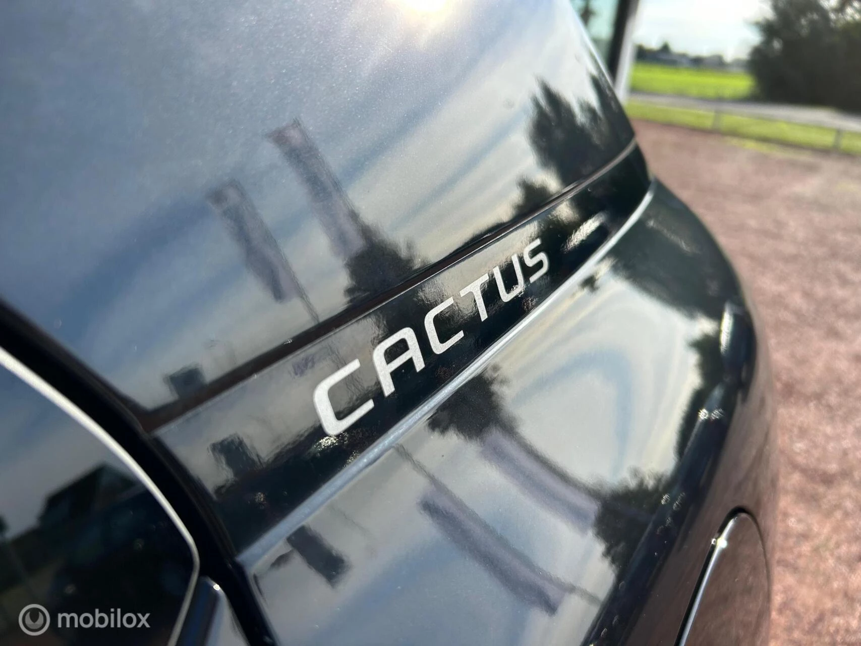 Hoofdafbeelding Citroën C4 Cactus