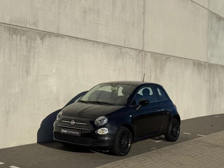 Fiat 500 1.2 Lounge | pano | pdc | CarPlay | cruise