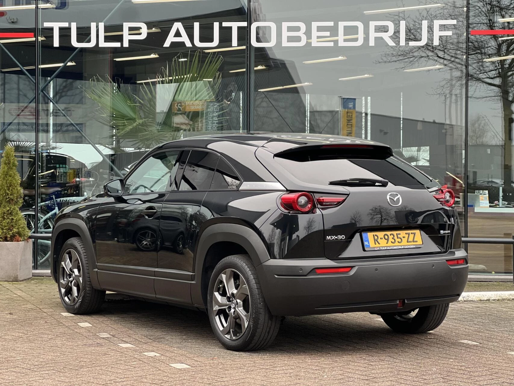 Hoofdafbeelding Mazda MX-30