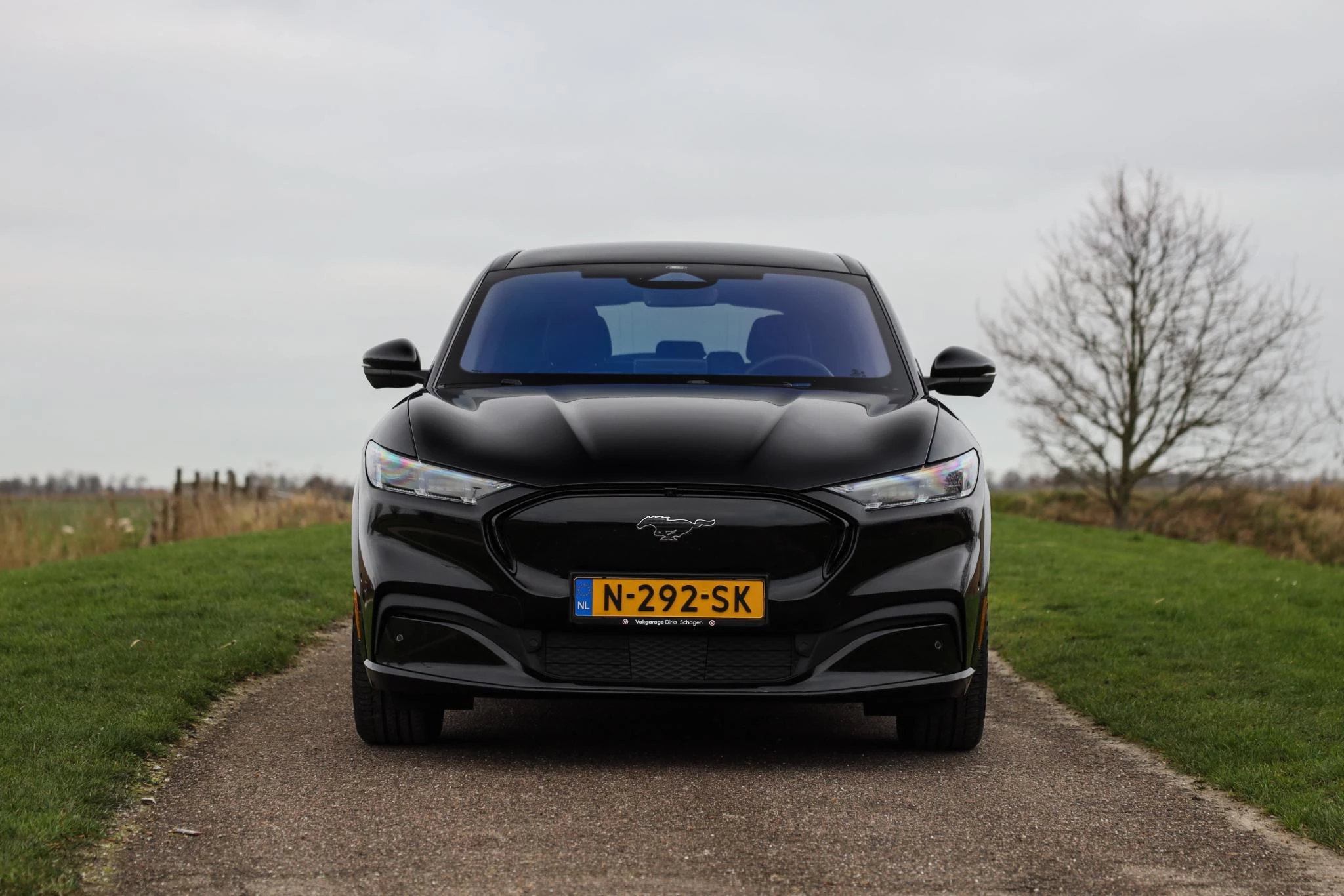 Hoofdafbeelding Ford Mustang Mach-E