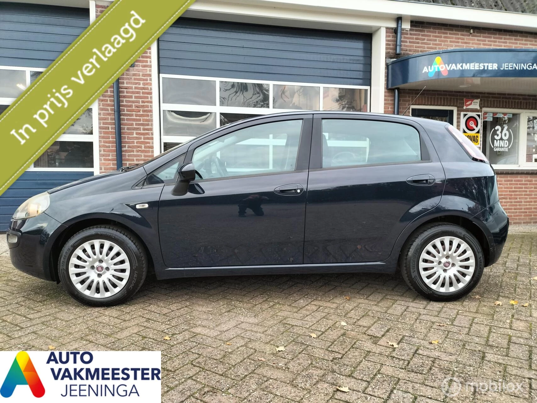 Hoofdafbeelding Fiat Punto