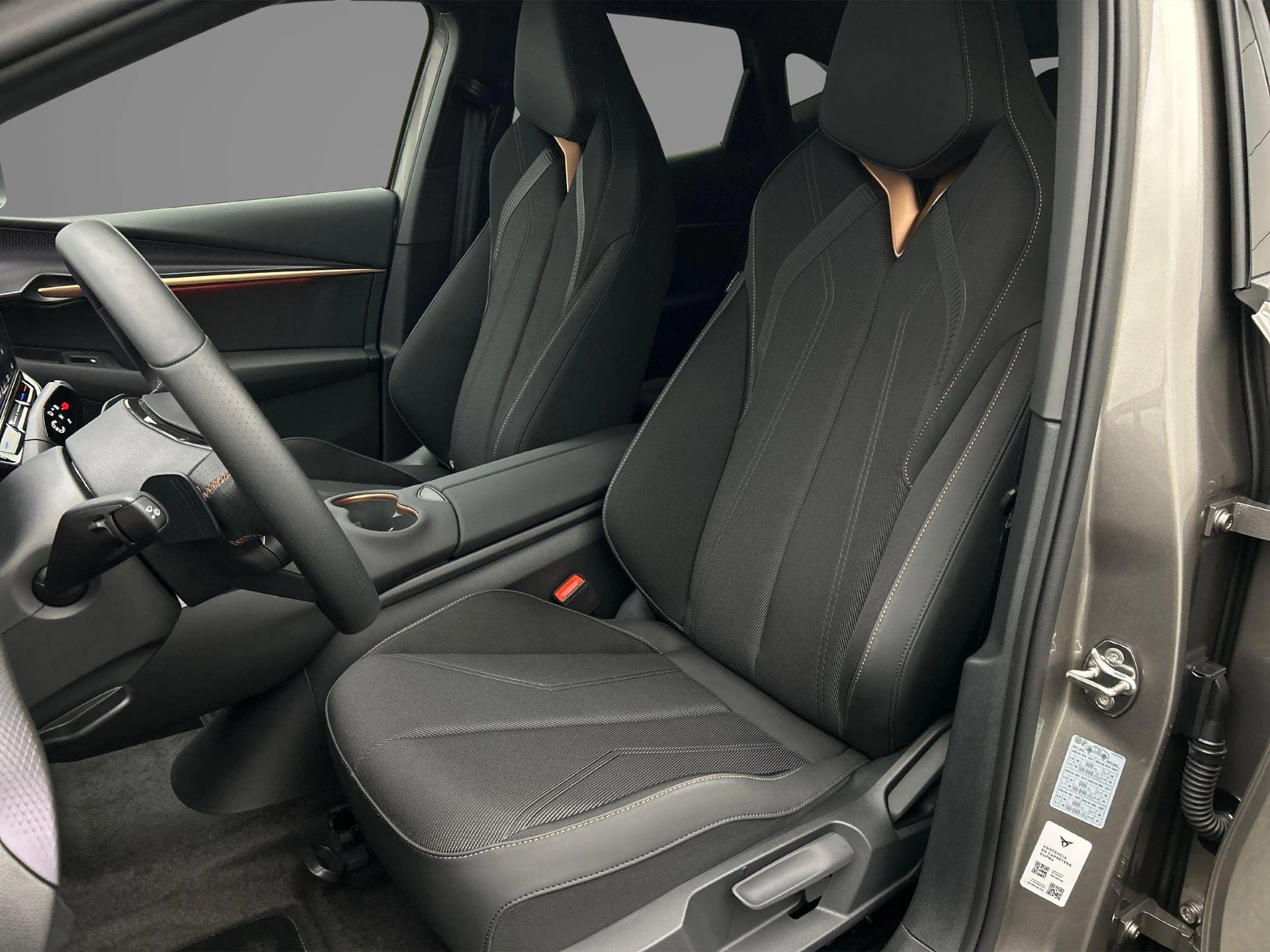 Hoofdafbeelding CUPRA Tavascan