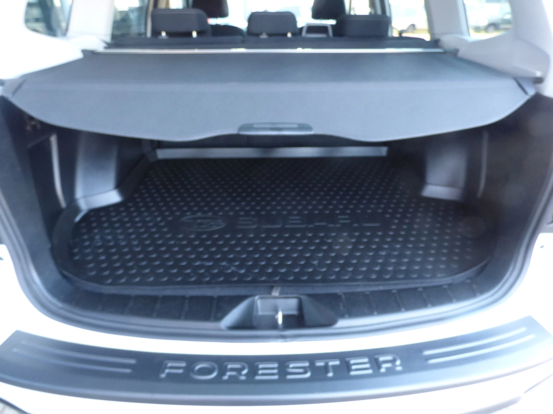 Hoofdafbeelding Subaru Forester