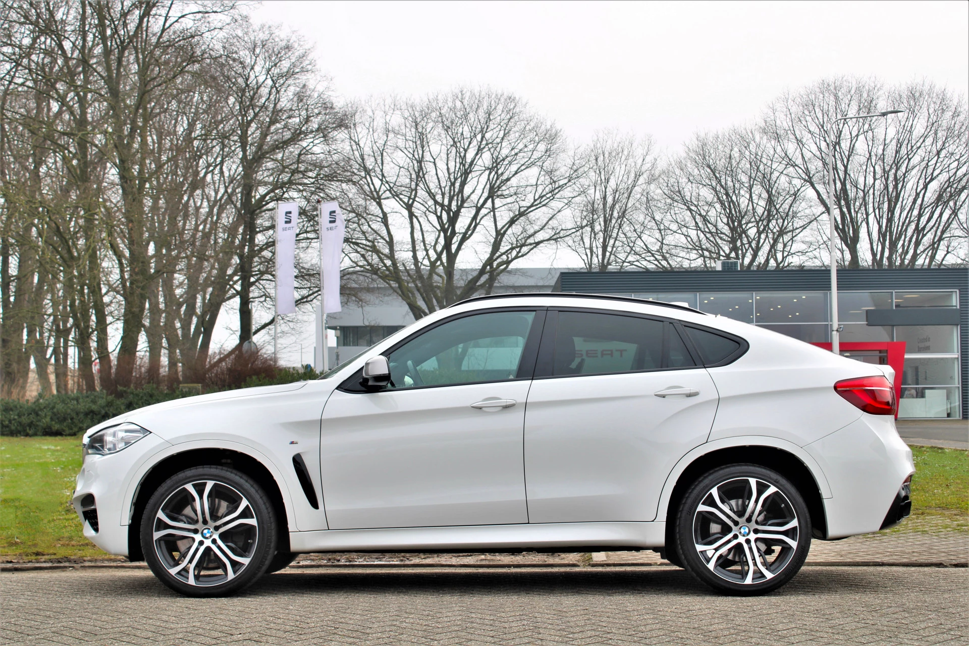 Hoofdafbeelding BMW X6