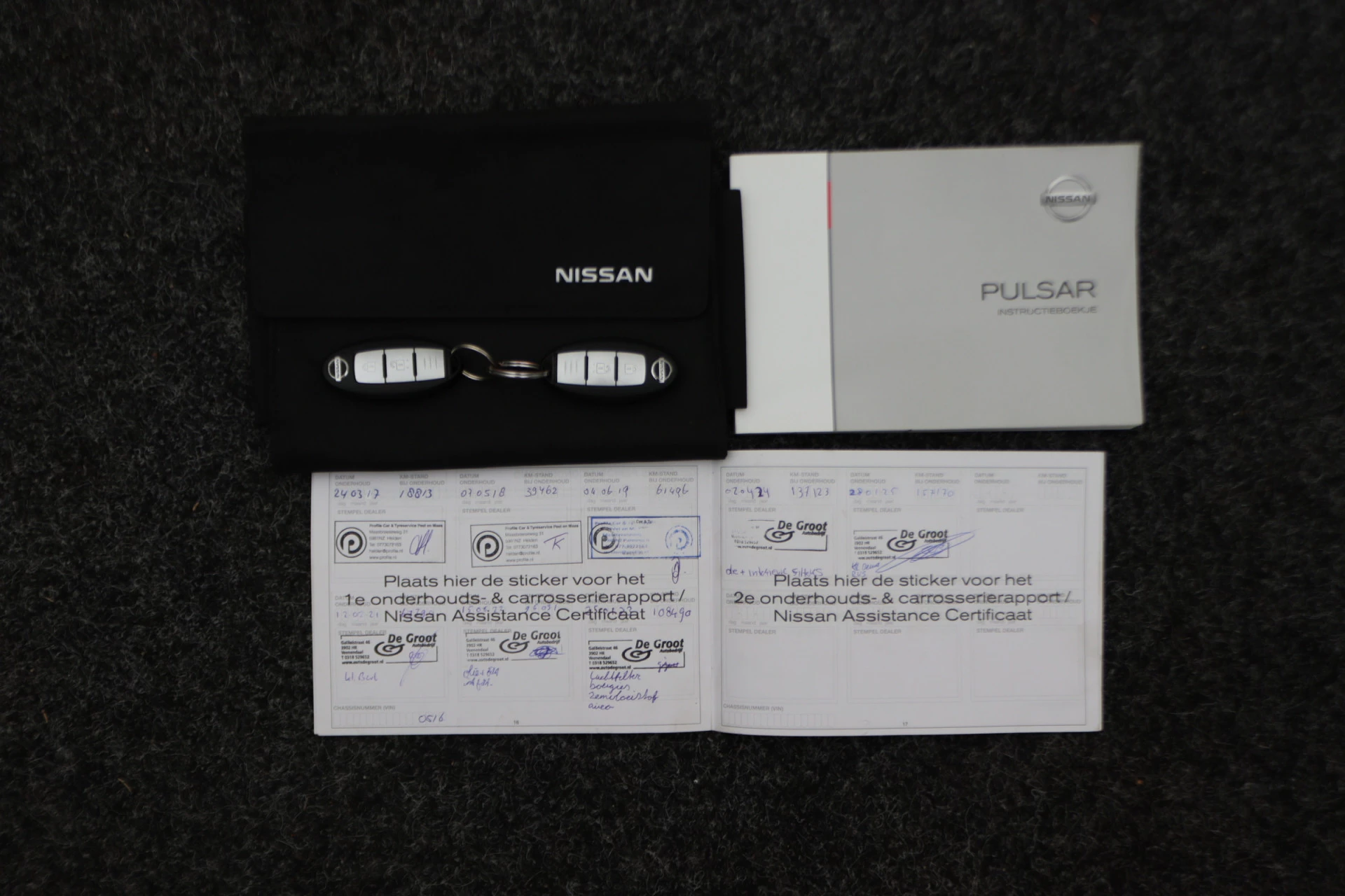 Hoofdafbeelding Nissan Pulsar