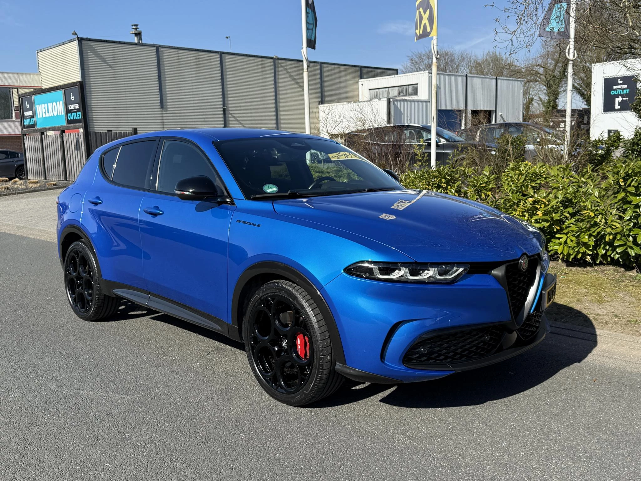 Hoofdafbeelding Alfa Romeo Tonale