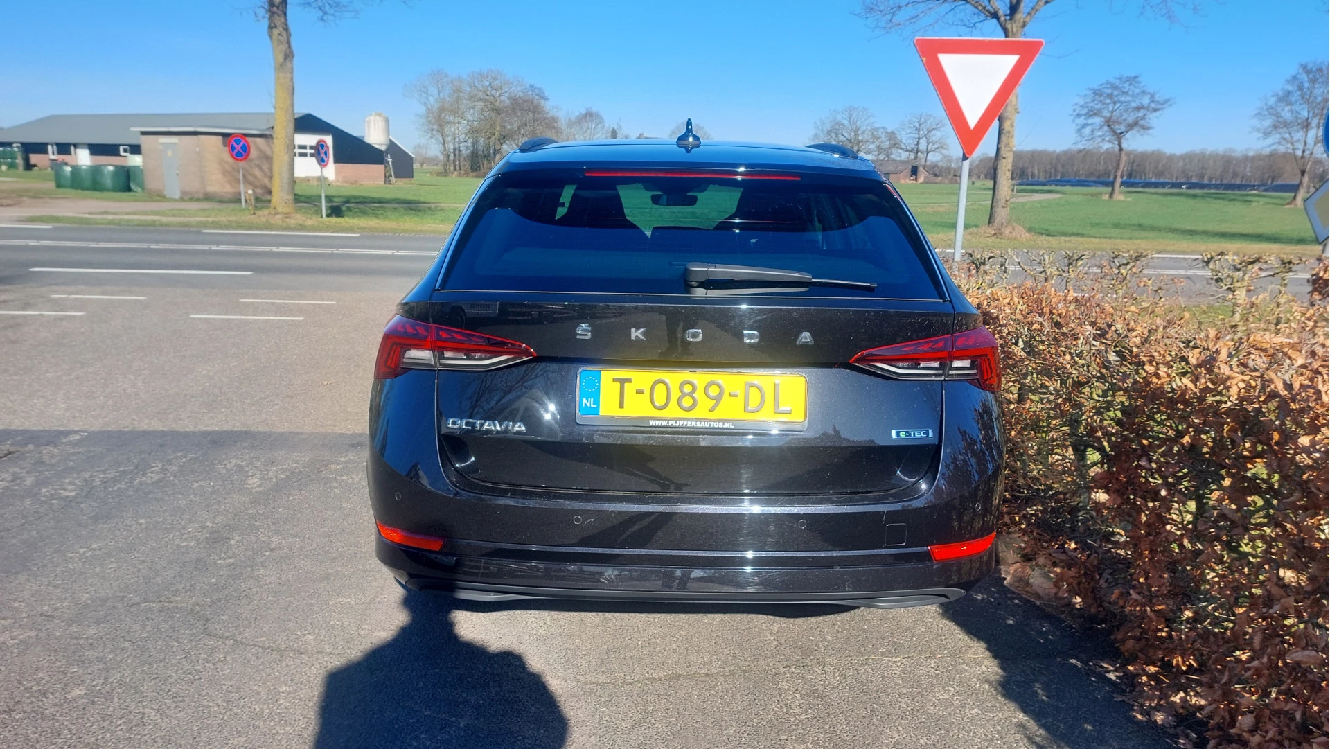 Hoofdafbeelding Škoda Octavia