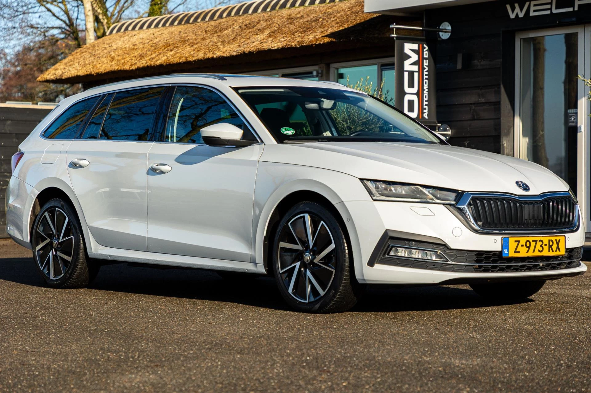 Hoofdafbeelding Škoda Octavia