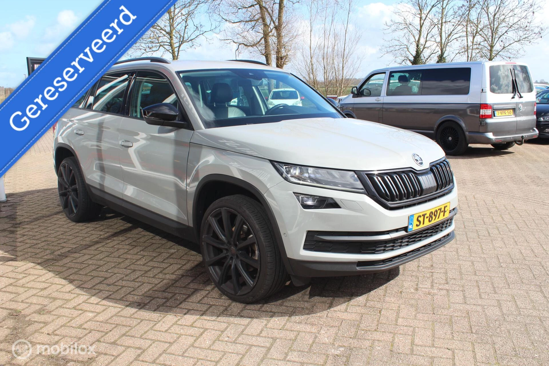 Hoofdafbeelding Škoda Kodiaq