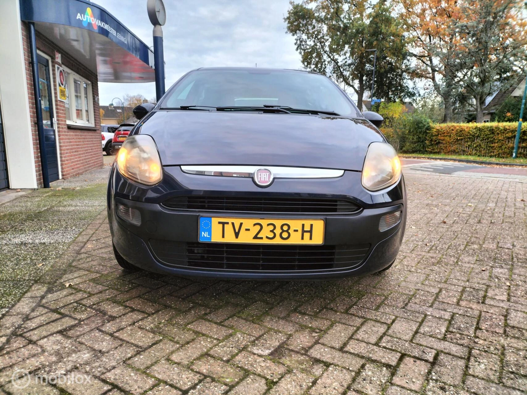 Hoofdafbeelding Fiat Punto
