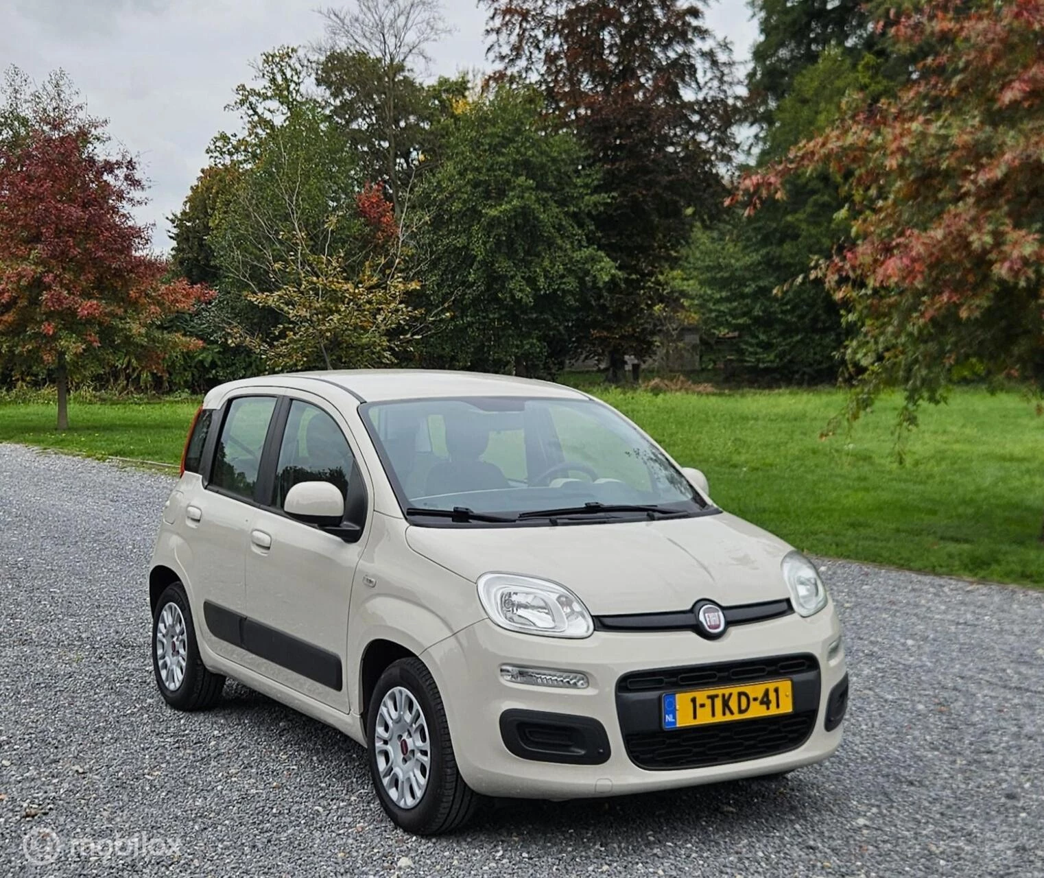 Hoofdafbeelding Fiat Panda