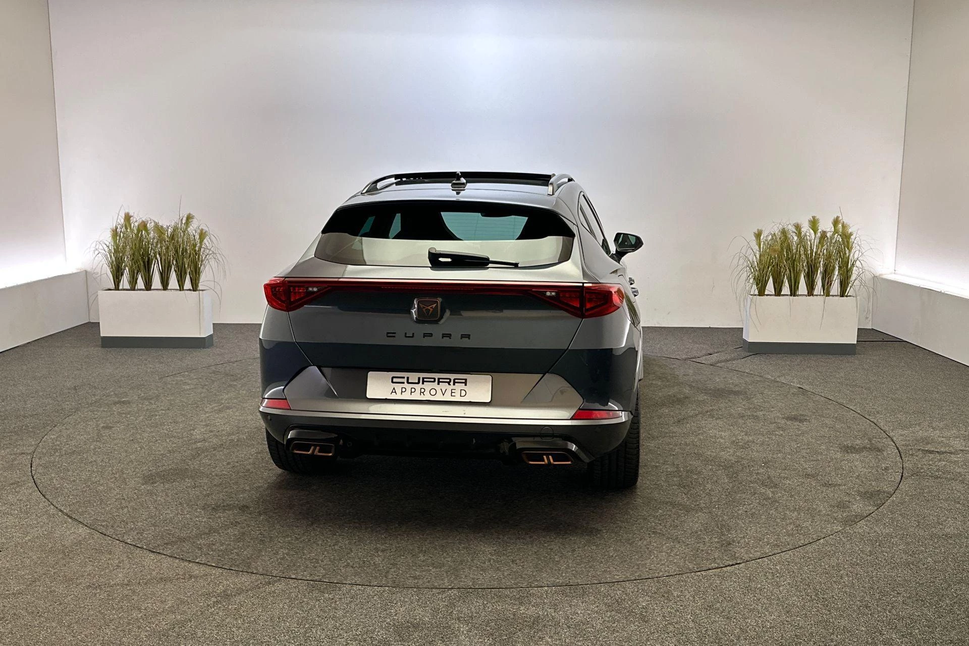 Hoofdafbeelding CUPRA Formentor
