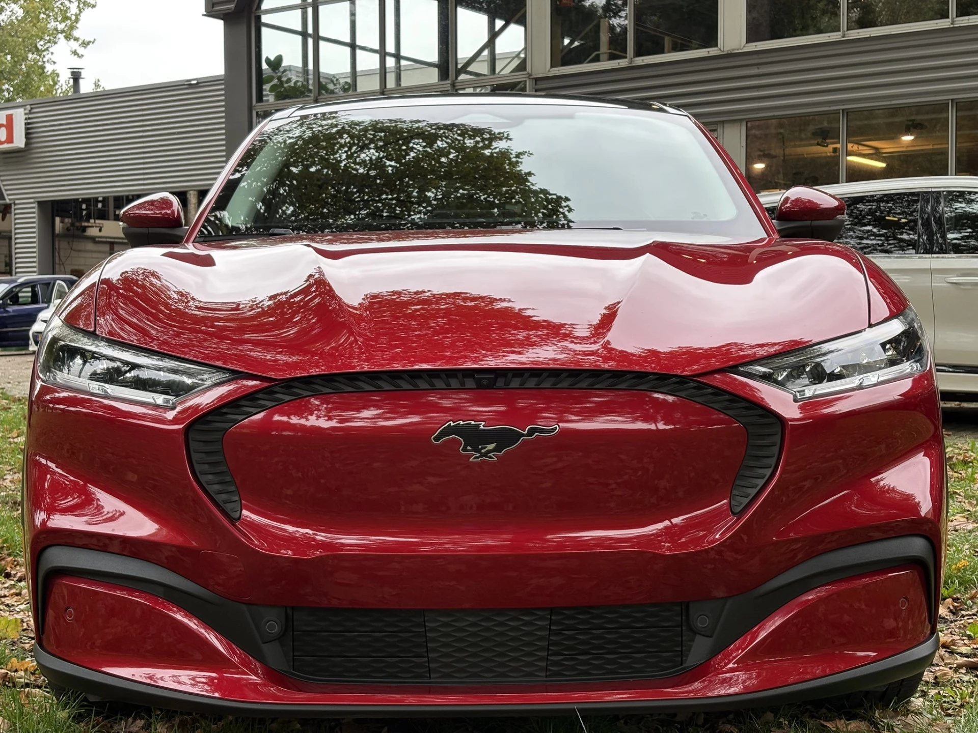 Hoofdafbeelding Ford Mustang Mach-E