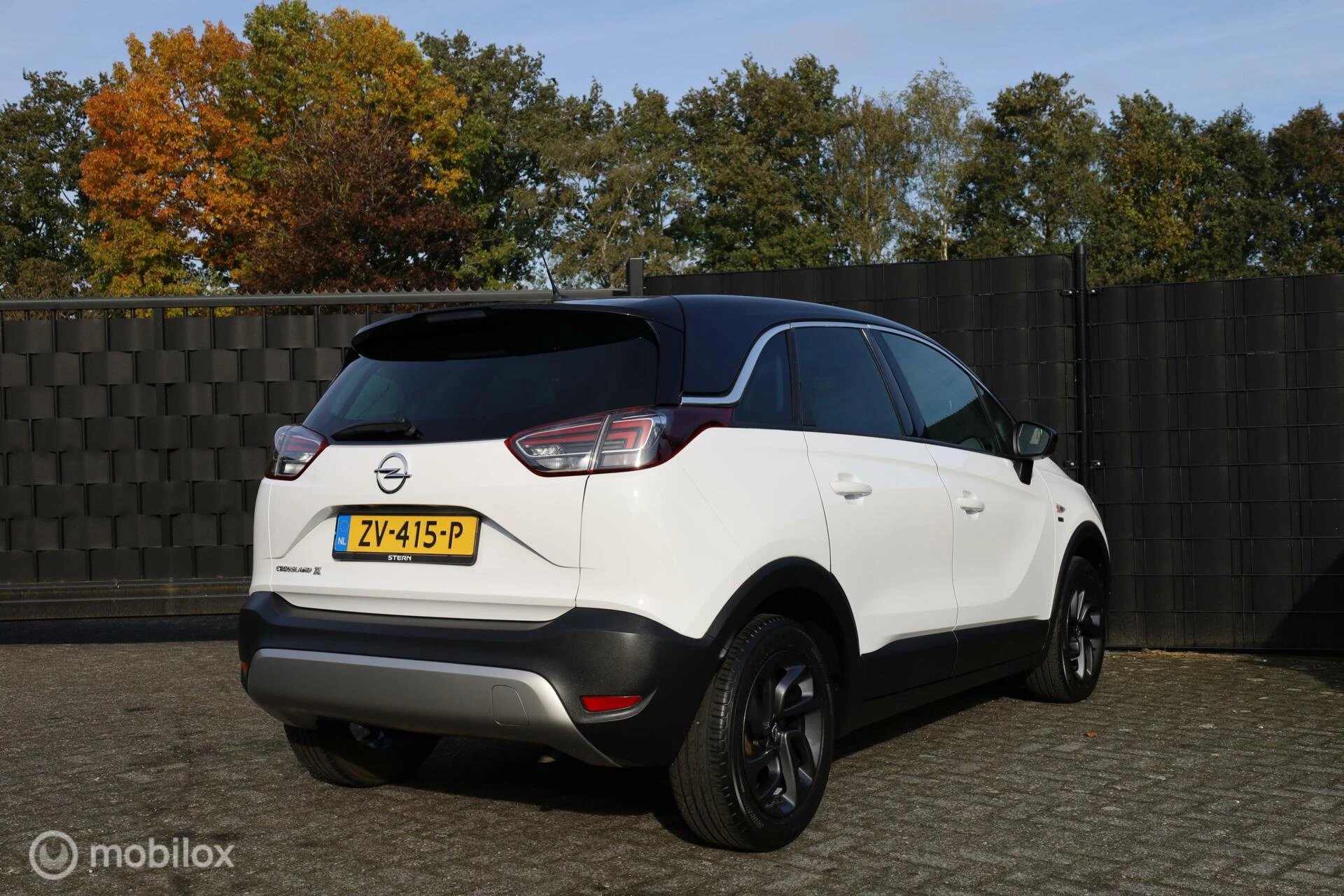 Hoofdafbeelding Opel Crossland X