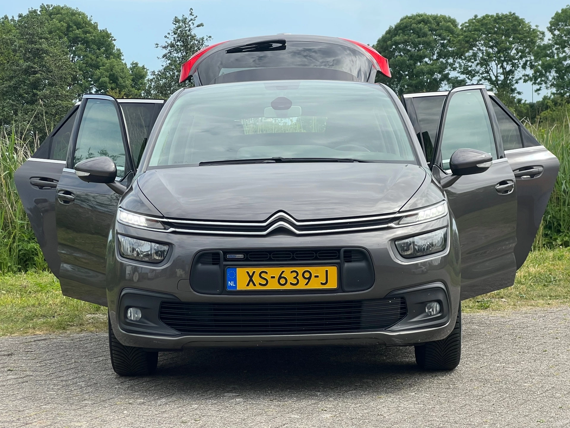 Hoofdafbeelding Citroën C4 Picasso