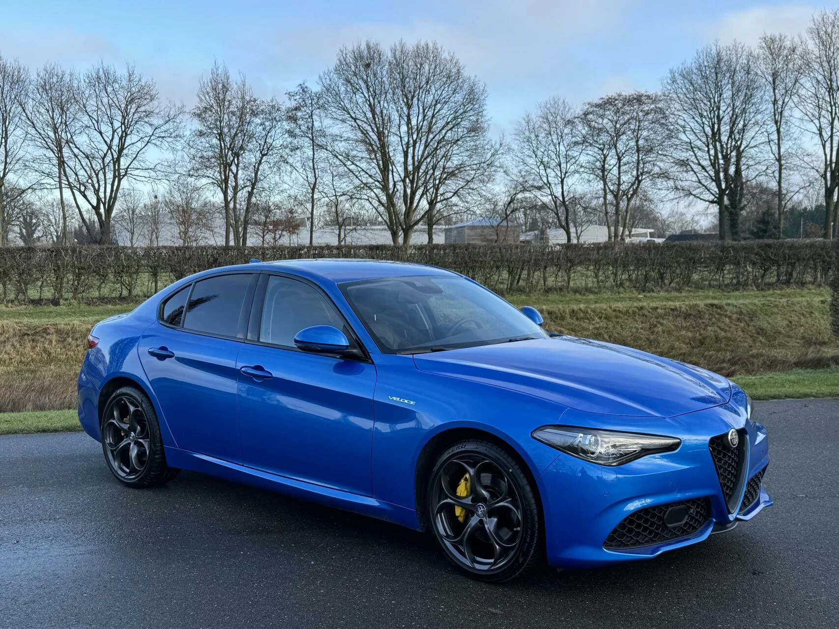 Hoofdafbeelding Alfa Romeo Giulia