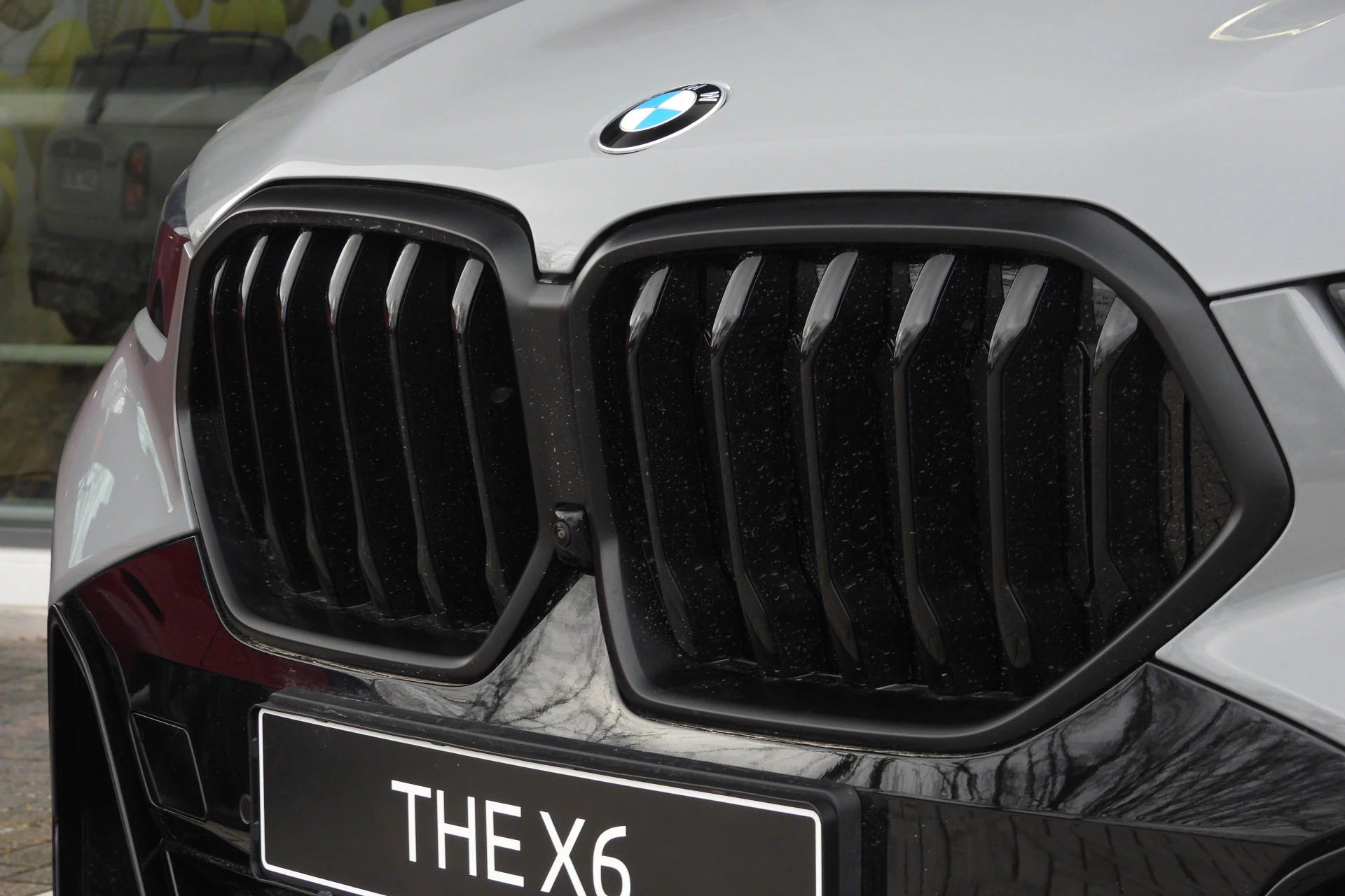 Hoofdafbeelding BMW X6