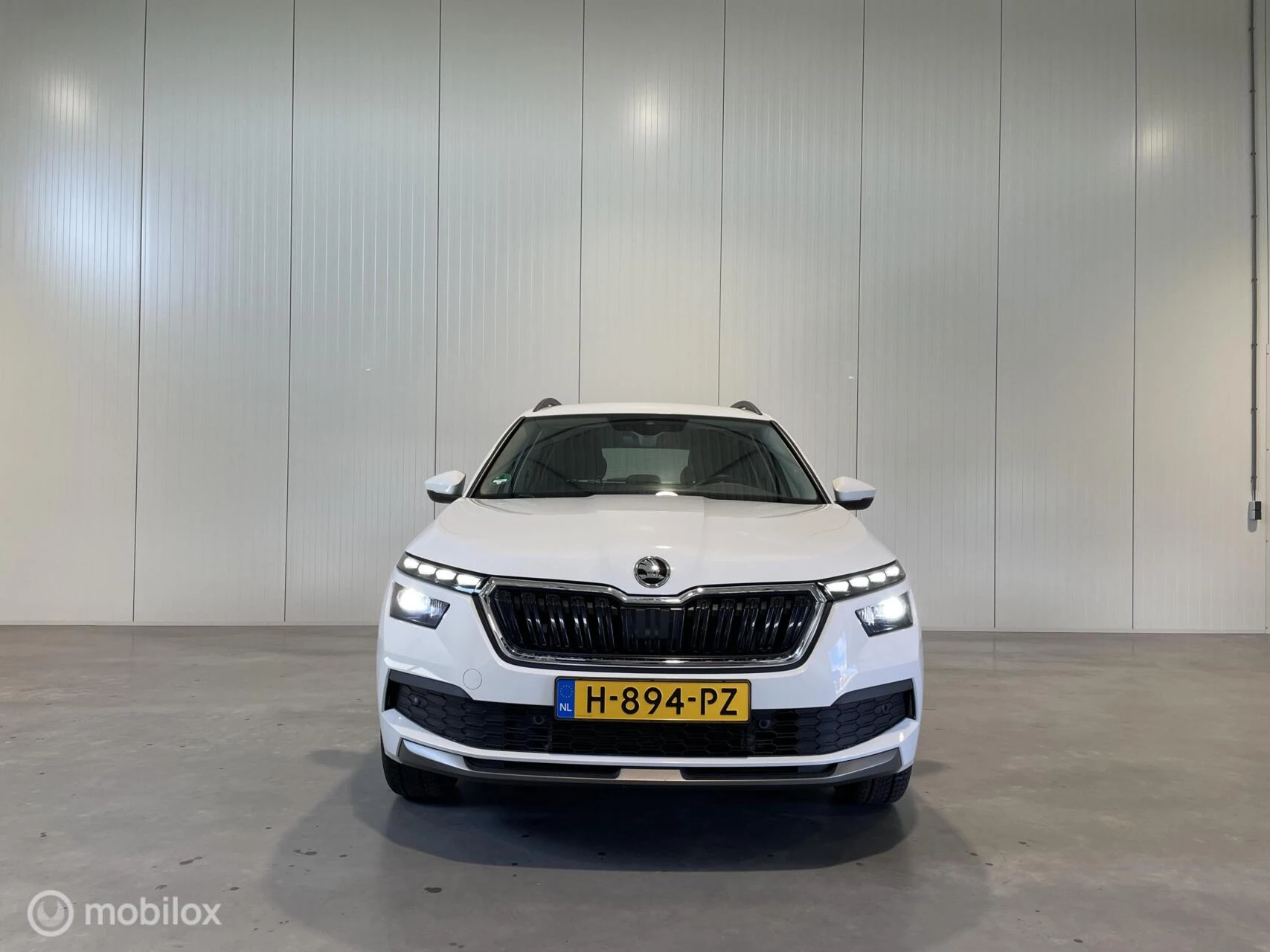Hoofdafbeelding Škoda Kamiq