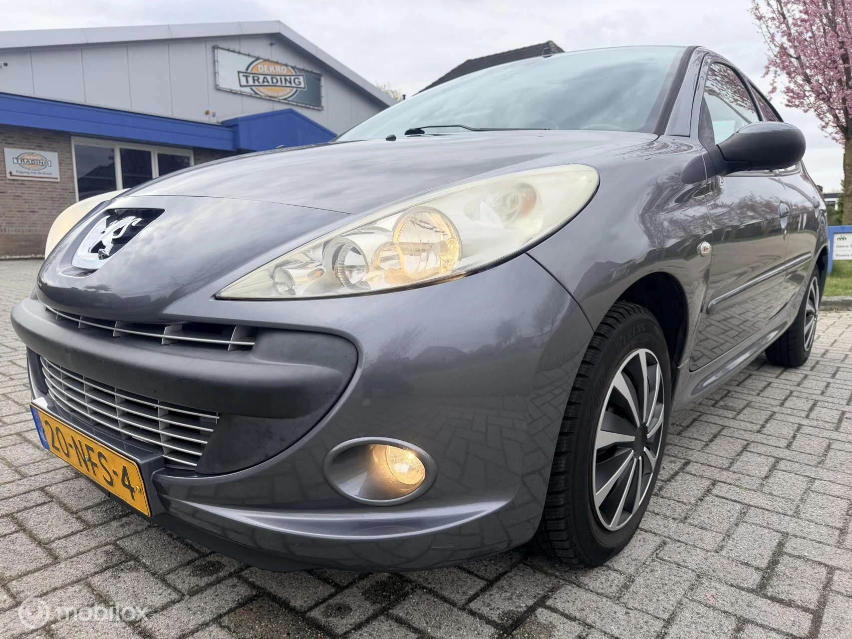 Hoofdafbeelding Peugeot 206