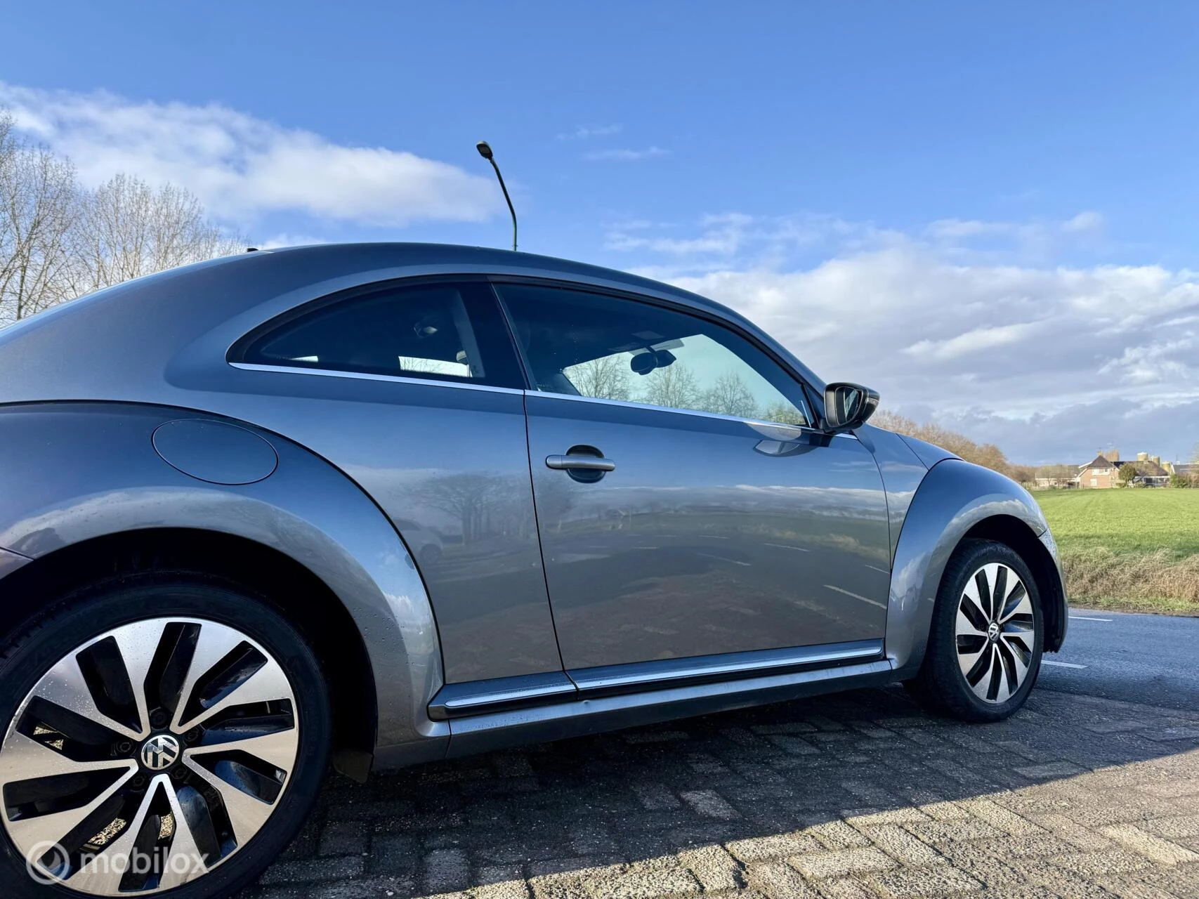 Hoofdafbeelding Volkswagen Beetle