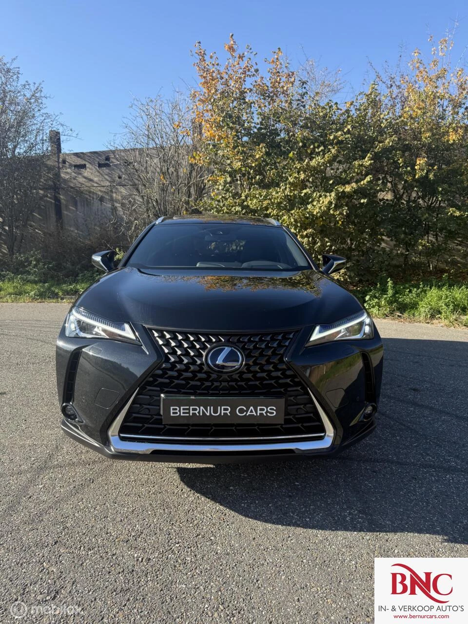 Hoofdafbeelding Lexus UX