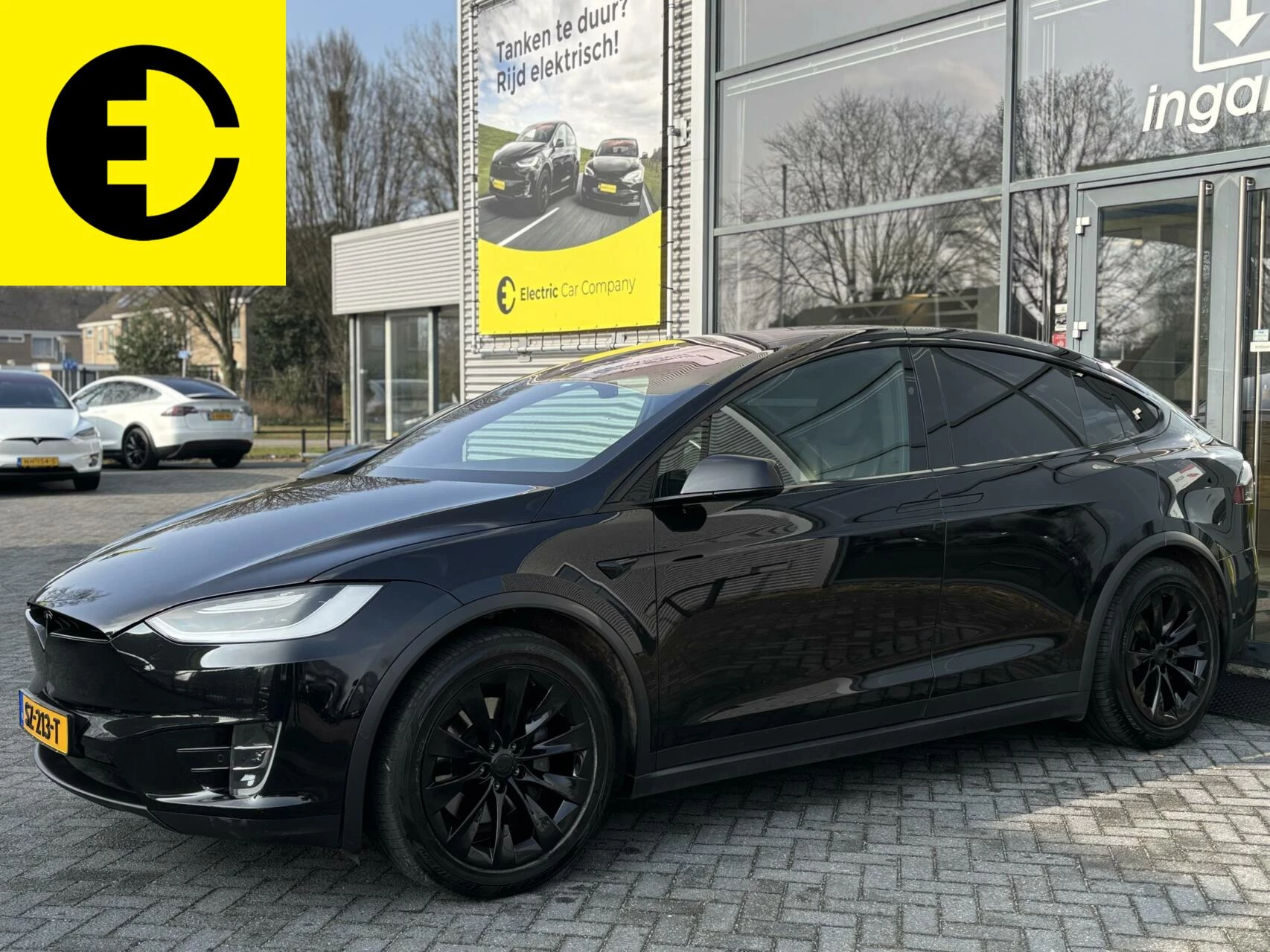 Hoofdafbeelding Tesla Model X