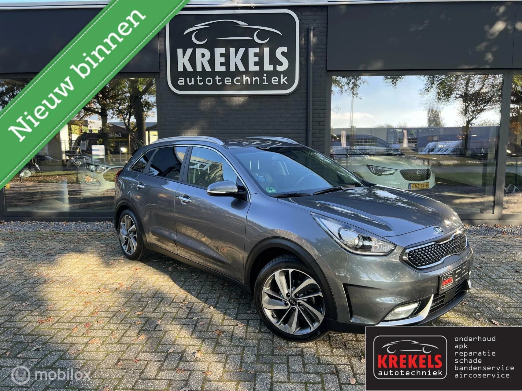 Hoofdafbeelding Kia Niro