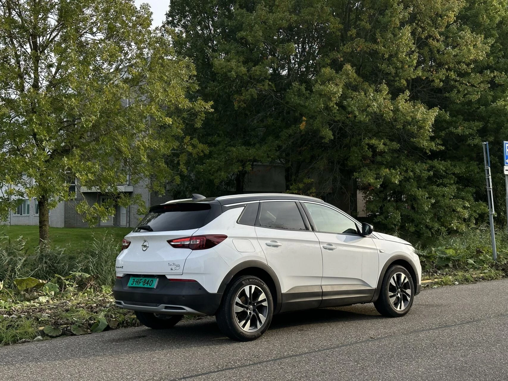 Hoofdafbeelding Opel Grandland X